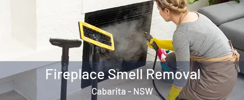 Fireplace Smell Removal Cabarita - NSW