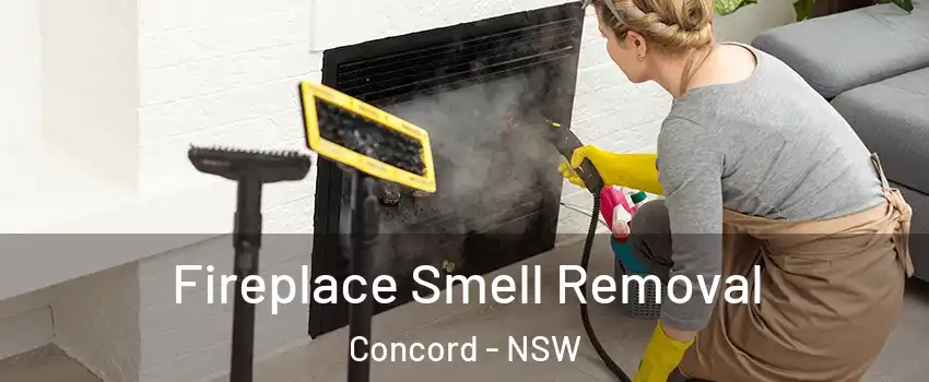 Fireplace Smell Removal Concord - NSW