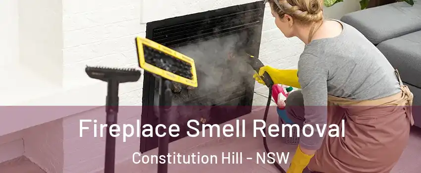 Fireplace Smell Removal Constitution Hill - NSW