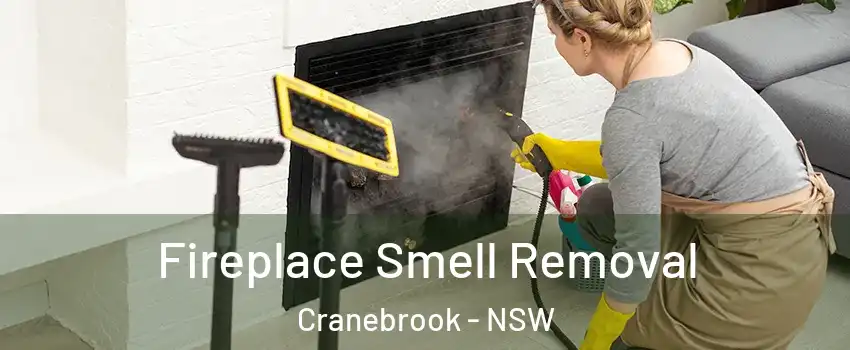 Fireplace Smell Removal Cranebrook - NSW