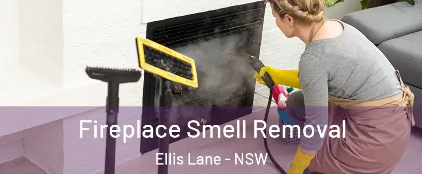 Fireplace Smell Removal Ellis Lane - NSW