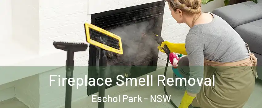Fireplace Smell Removal Eschol Park - NSW