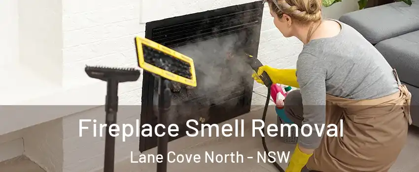 Fireplace Smell Removal Lane Cove North - NSW