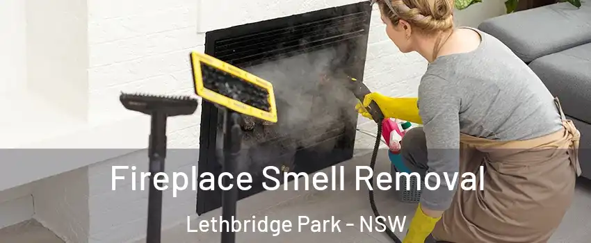 Fireplace Smell Removal Lethbridge Park - NSW