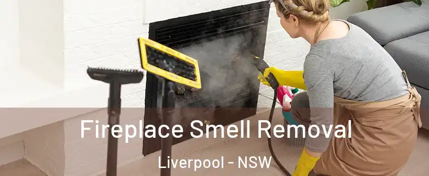 Fireplace Smell Removal Liverpool - NSW