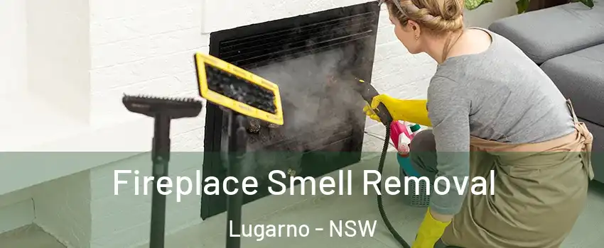 Fireplace Smell Removal Lugarno - NSW