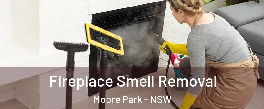 Fireplace Smell Removal Moore Park - NSW