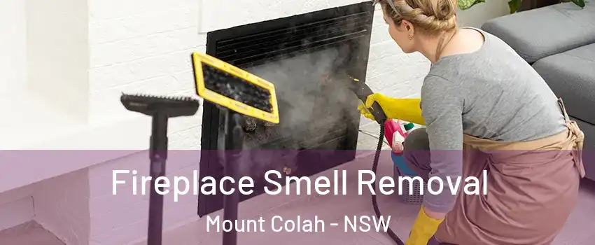 Fireplace Smell Removal Mount Colah - NSW