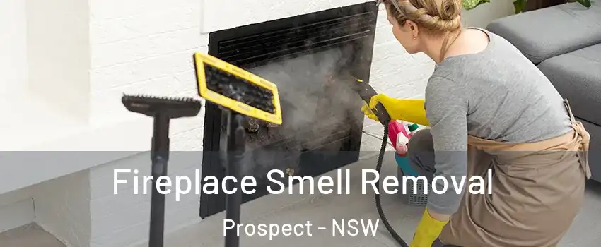 Fireplace Smell Removal Prospect - NSW