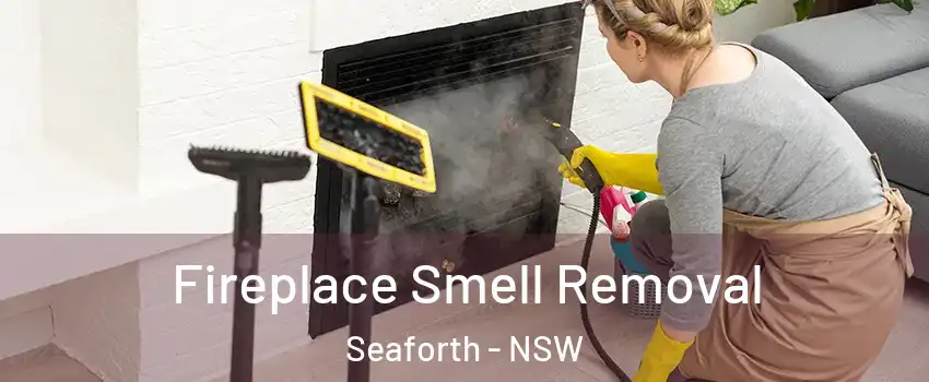 Fireplace Smell Removal Seaforth - NSW