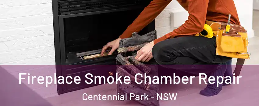  Fireplace Smoke Chamber Repair Centennial Park - NSW