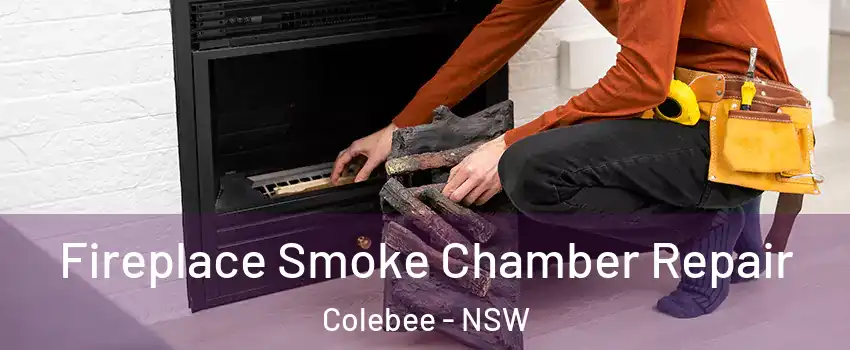  Fireplace Smoke Chamber Repair Colebee - NSW