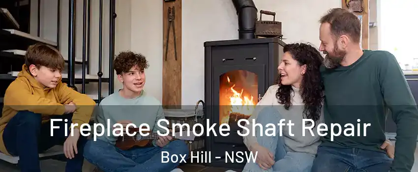 Fireplace Smoke Shaft Repair Box Hill - NSW