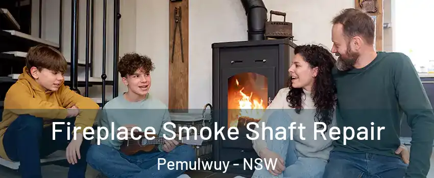 Fireplace Smoke Shaft Repair Pemulwuy - NSW