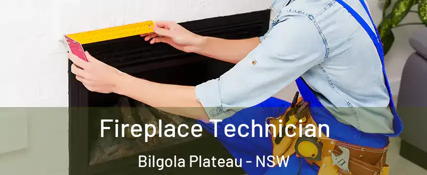 Fireplace Technician Bilgola Plateau - NSW