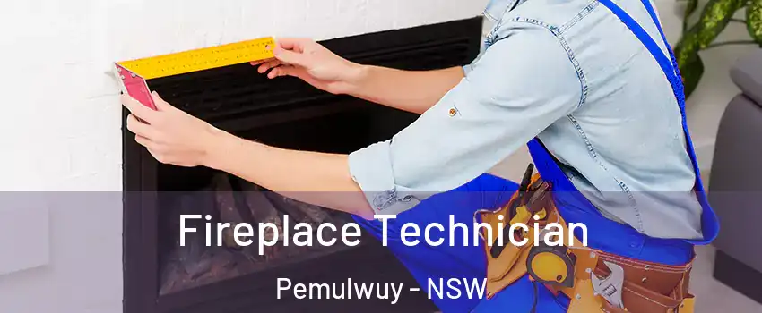 Fireplace Technician Pemulwuy - NSW