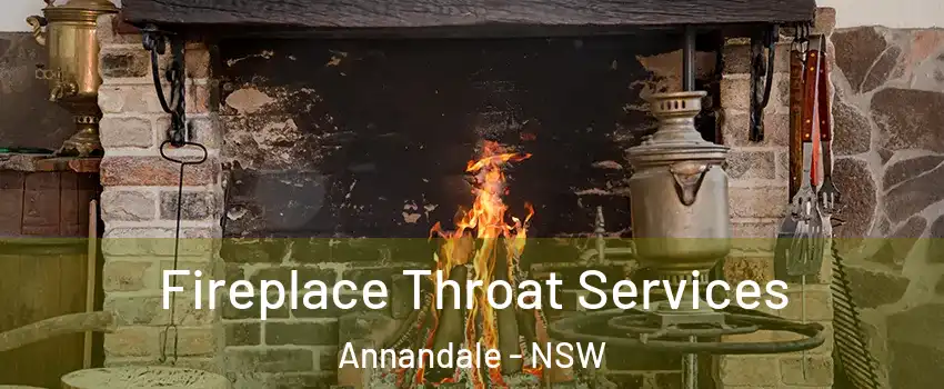 Fireplace Throat Services Annandale - NSW