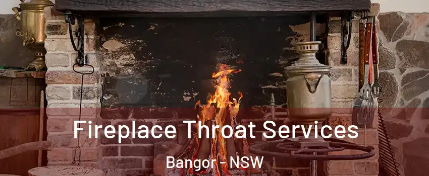 Fireplace Throat Services Bangor - NSW