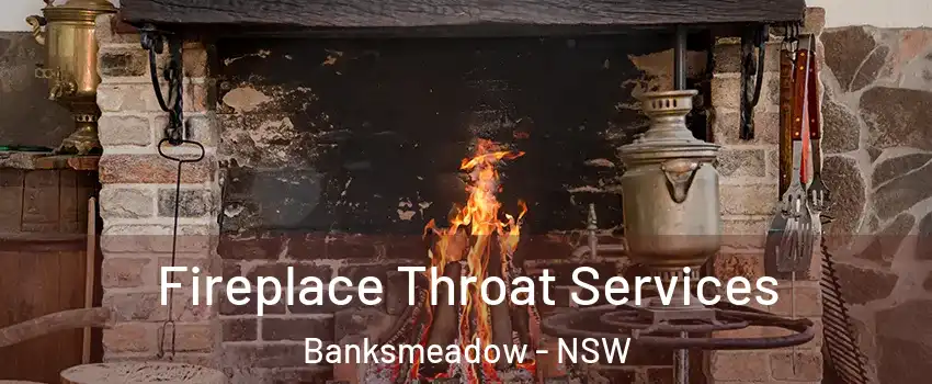 Fireplace Throat Services Banksmeadow - NSW