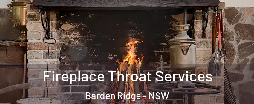 Fireplace Throat Services Barden Ridge - NSW