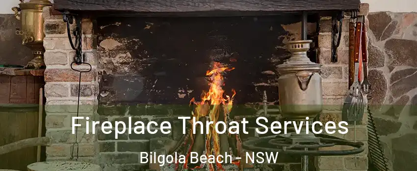 Fireplace Throat Services Bilgola Beach - NSW
