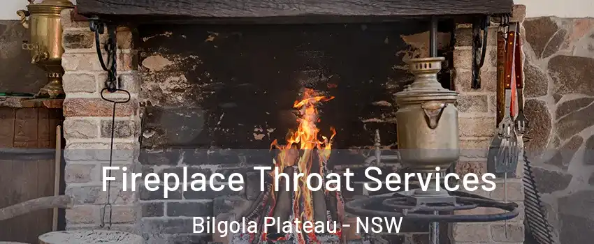 Fireplace Throat Services Bilgola Plateau - NSW
