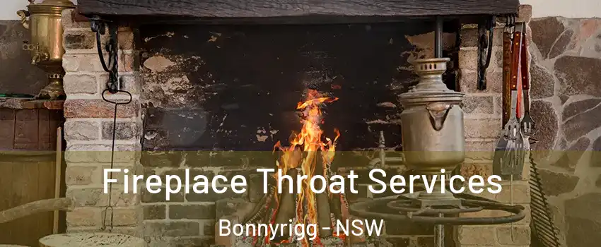 Fireplace Throat Services Bonnyrigg - NSW