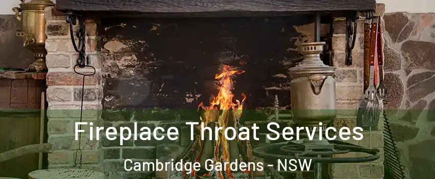 Fireplace Throat Services Cambridge Gardens - NSW