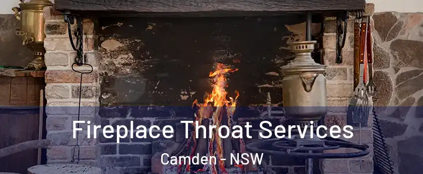 Fireplace Throat Services Camden - NSW