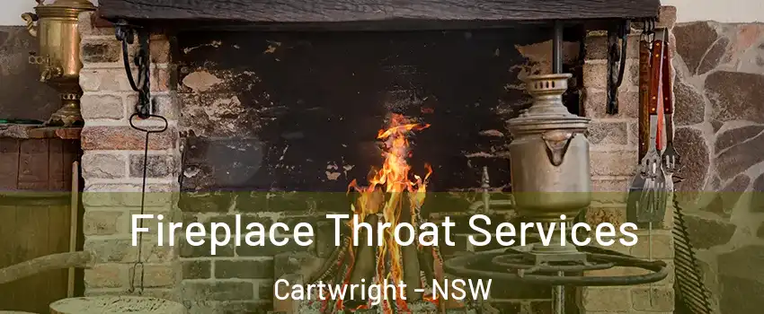 Fireplace Throat Services Cartwright - NSW