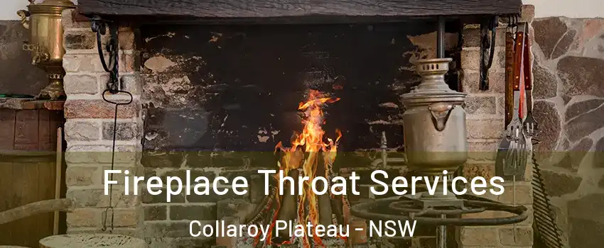 Fireplace Throat Services Collaroy Plateau - NSW