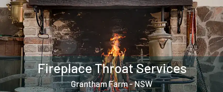 Fireplace Throat Services Grantham Farm - NSW