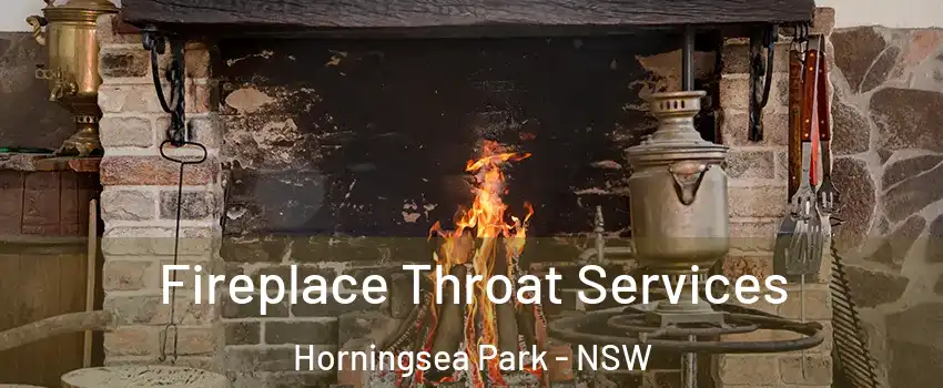 Fireplace Throat Services Horningsea Park - NSW