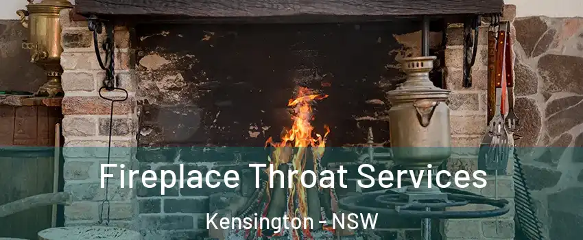 Fireplace Throat Services Kensington - NSW