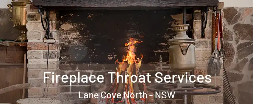 Fireplace Throat Services Lane Cove North - NSW