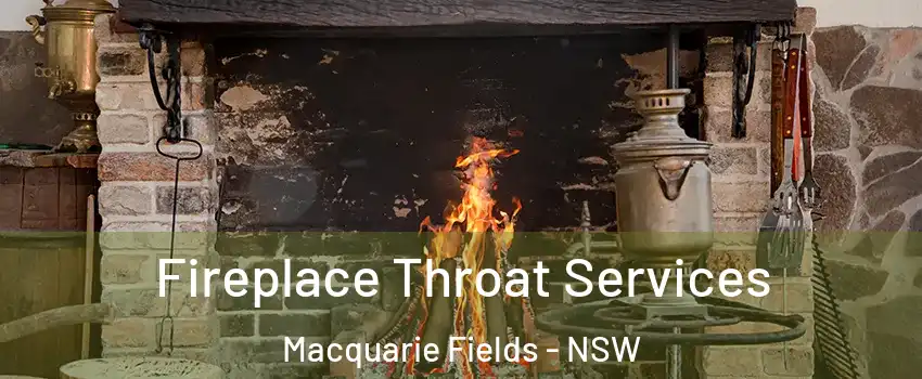 Fireplace Throat Services Macquarie Fields - NSW