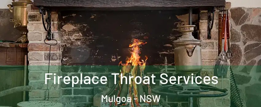 Fireplace Throat Services Mulgoa - NSW