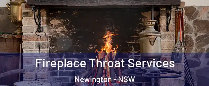Fireplace Throat Services Newington - NSW