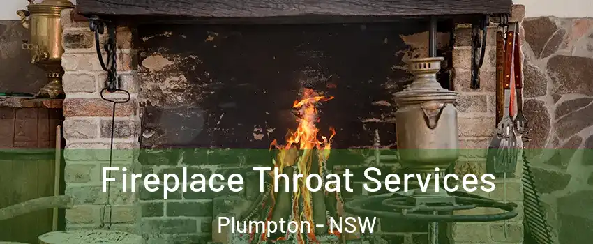 Fireplace Throat Services Plumpton - NSW