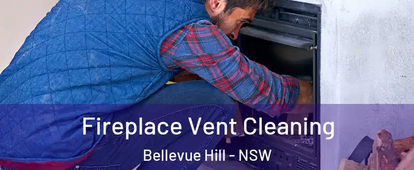 Fireplace Vent Cleaning Bellevue Hill - NSW
