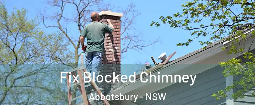 Fix Blocked Chimney Abbotsbury - NSW
