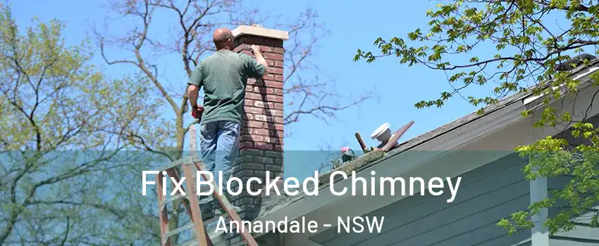 Fix Blocked Chimney Annandale - NSW