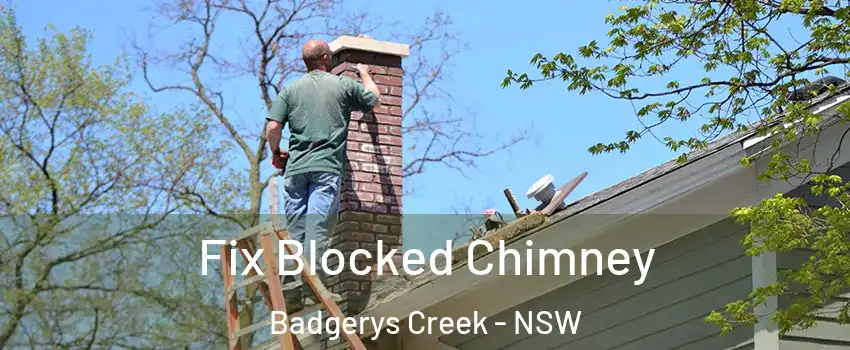 Fix Blocked Chimney Badgerys Creek - NSW