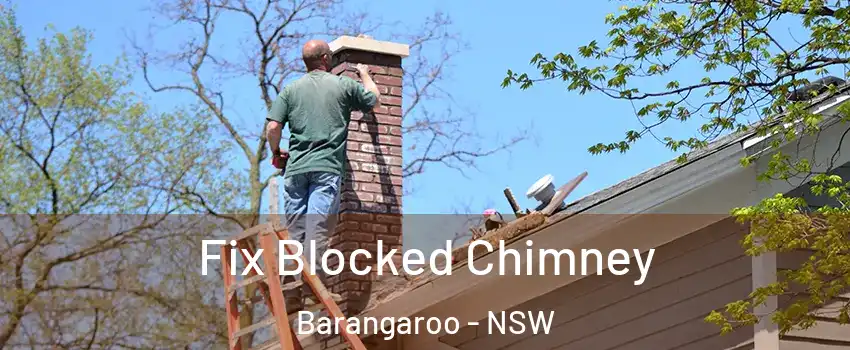 Fix Blocked Chimney Barangaroo - NSW