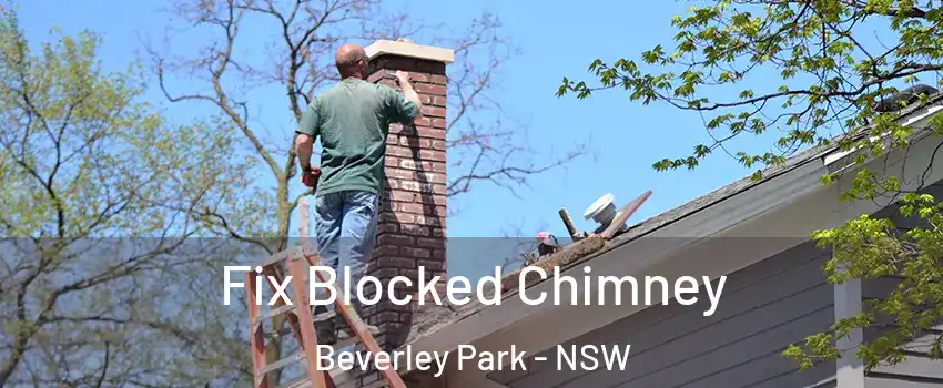  Fix Blocked Chimney Beverley Park - NSW