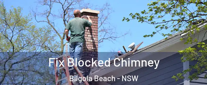 Fix Blocked Chimney Bilgola Beach - NSW