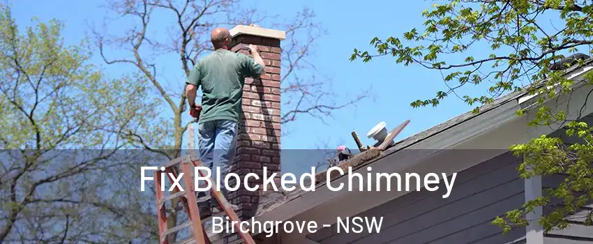 Fix Blocked Chimney Birchgrove - NSW