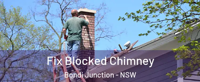 Fix Blocked Chimney Bondi Junction - NSW