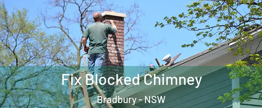  Fix Blocked Chimney Bradbury - NSW