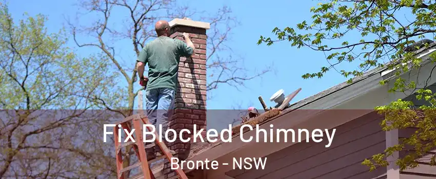 Fix Blocked Chimney Bronte - NSW